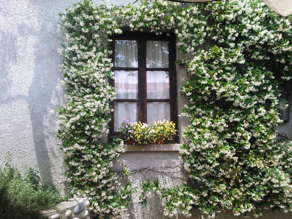 Agriturismo Cassinazza Orsenigo Phòng bức ảnh