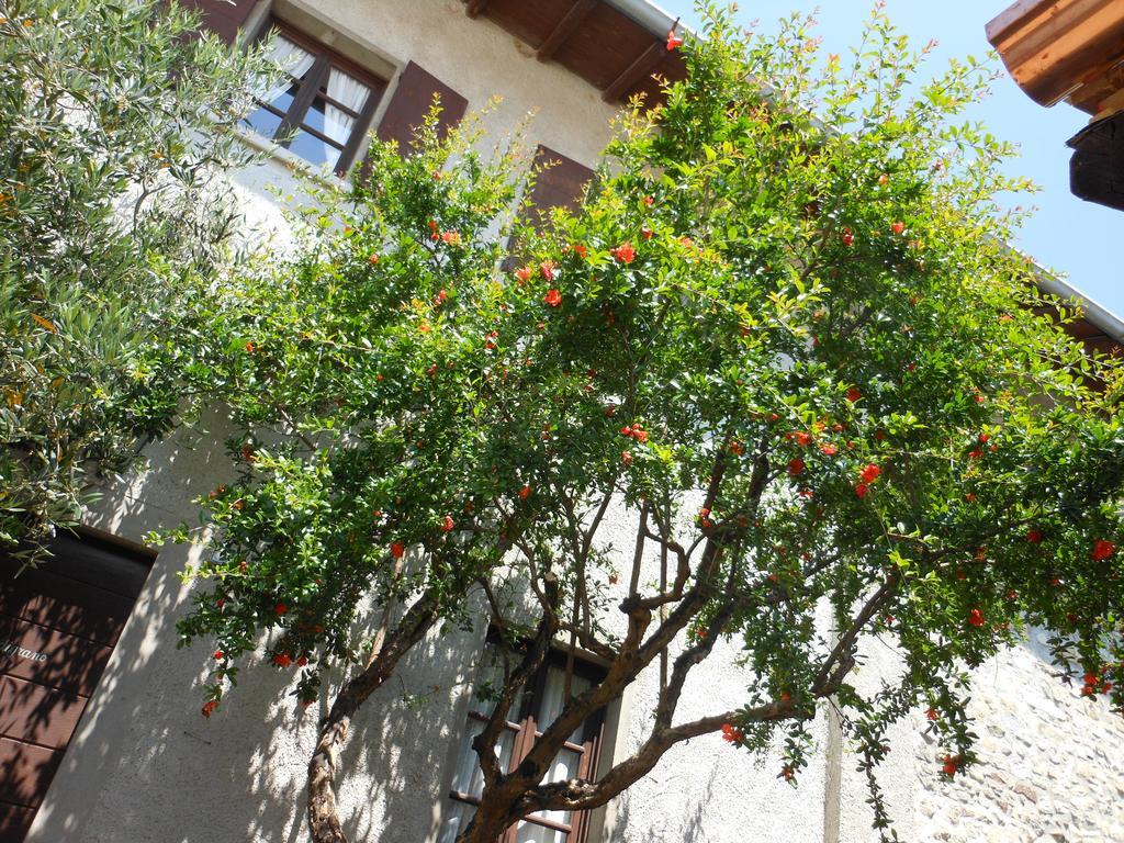 Agriturismo Cassinazza Orsenigo Ngoại thất bức ảnh